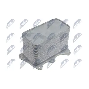 CCL-BM-046 NTY