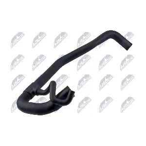 GPP-CT-019 NTY