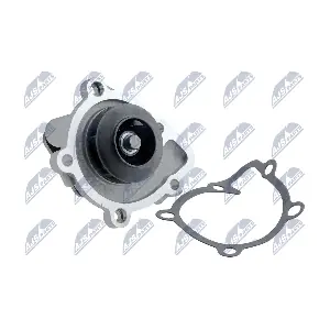 NTY CPW-CH-011
