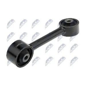 ZPS-TY-163 NTY