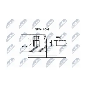 NTY NPW-IS-003