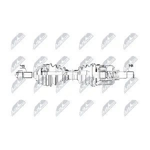 NTY NPW-CT-171