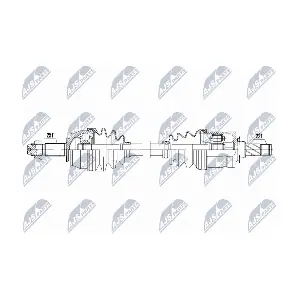 NPW-PL-181 NTY