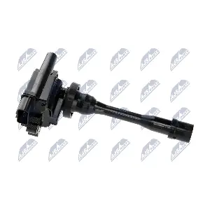 NTY ECZ-MS-006