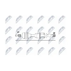 NPW-RE-032 NTY