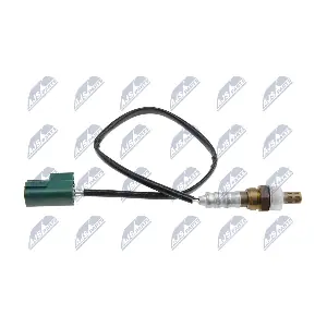 ESL-NS-019 NTY