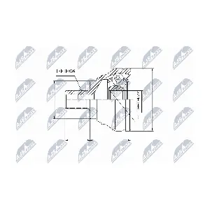NPZ-SK-009 NTY
