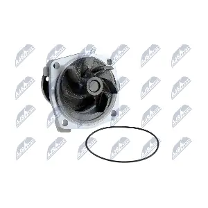 NTY CPW-CH-008