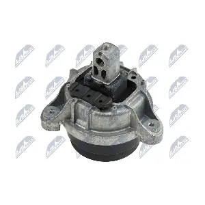 ZPS-BM-005 NTY