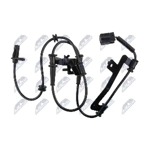 HCA-HY-572 NTY