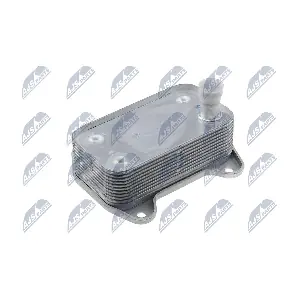 CCL-ME-006 NTY