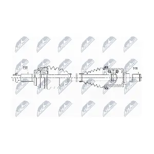 NPW-LR-021 NTY