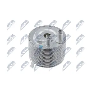 CCL-NS-002 NTY