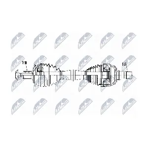 NPW-ME-065 NTY