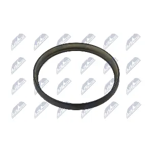 NZA-CT-004 NTY