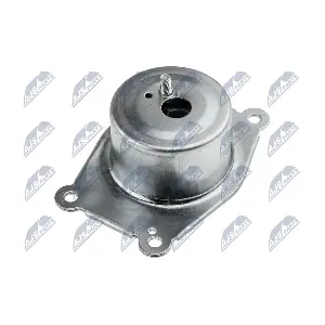 ZPS-PL-031 NTY