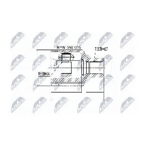 NTY NPW-DW-016