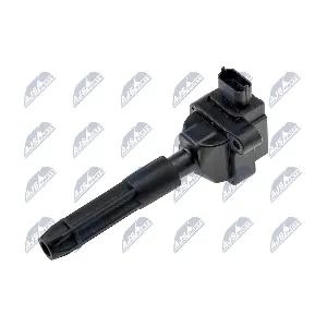 ECZ-ME-012 NTY