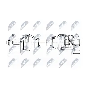 NPW-RE-054 NTY