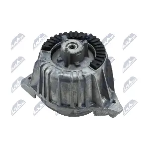 ZPS-ME-016 NTY