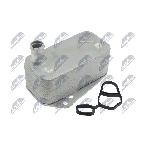 CCL-LR-006 NTY