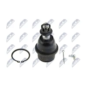 NTY ZSD-CH-012