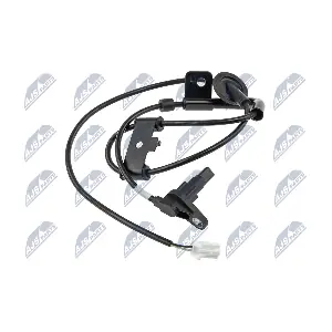 HCA-HY-561 NTY