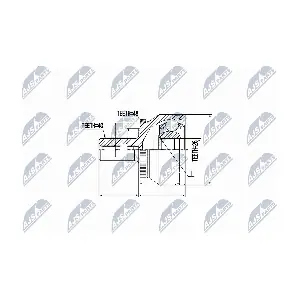 NPZ-VV-019 NTY