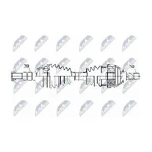NPW-PL-081 NTY
