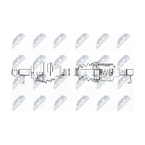 NPW-RE-147 NTY