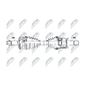 NPW-LR-041 NTY