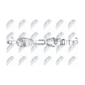NPW-NS-172 NTY