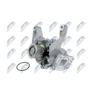 CPW-CH-034 NTY