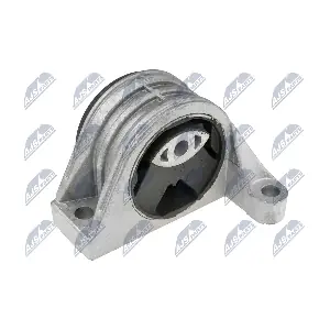 ZPS-PE-018 NTY