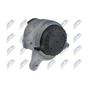 ZPS-ME-029 NTY