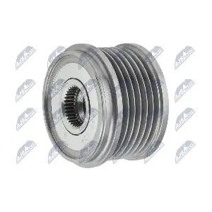 NTY ESA-RE-002