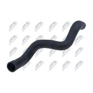 CPP-PL-012 NTY