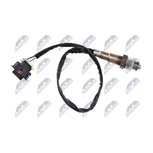 NTY ESL-PL-008