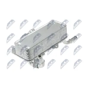 CCL-AU-036 NTY