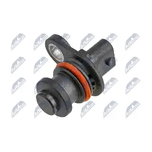 ECP-PL-031 NTY