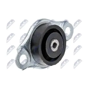 ZPS-FT-010 NTY