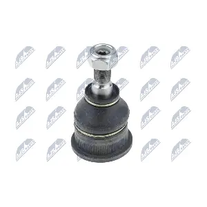 ZSD-RE-012 NTY