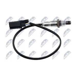 ESL-AU-015 NTY