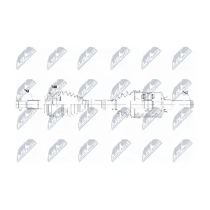 NTY NPW-FR-210