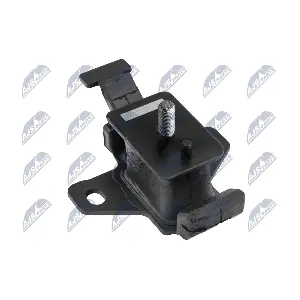 ZPS-TY-169 NTY