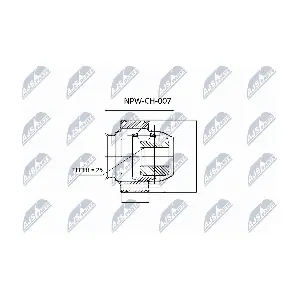 NPW-CH-007 NTY