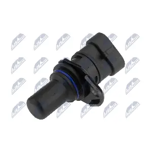 NTY ECP-HY-019
