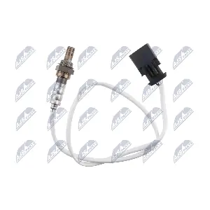 NTY ESL-BM-023