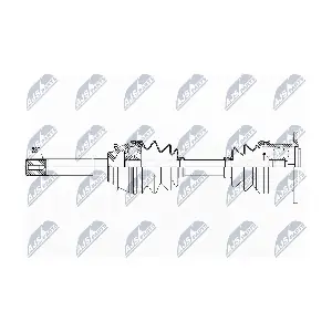 NPW-MS-051 NTY