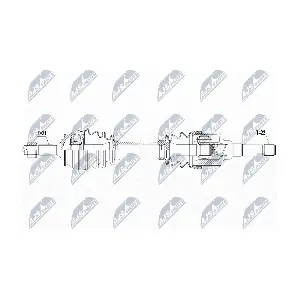 NPW-CT-095 NTY